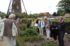 1212-2015-06-20-Hilvarenbeek-De-Dorpsdokter