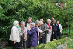 1263-2015-06-20-Hilvarenbeek-De-Dorpsdokter