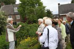 1287-2015-06-20-Hilvarenbeek-De-Dorpsdokter