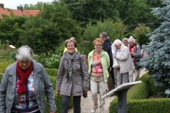 1298-2015-06-20-Hilvarenbeek-De-Dorpsdokter