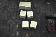 113-2016-12-01-Struikelsteentjes-leggen-scaled